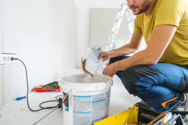 Best Mold Remediation for Vacation Homes  in USA