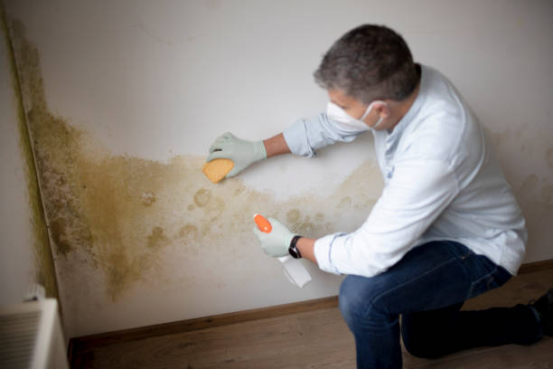 Best Forensic Mold Investigation  in USA